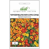 Бархатцы Горящая Звезда 