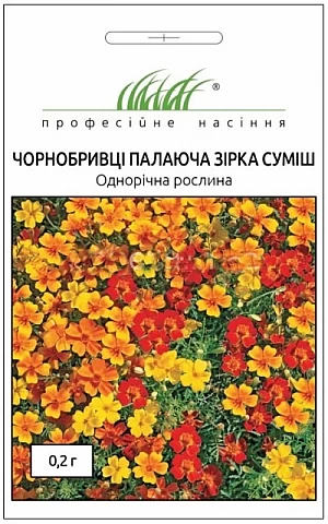 Бархатцы Горящая Звезда 