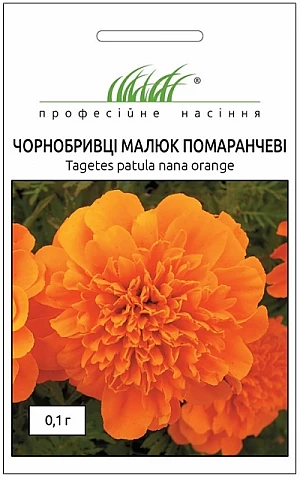 Бархатцы Малыш оранжевые 