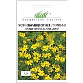 Бархатцы Сигнет лимонные 