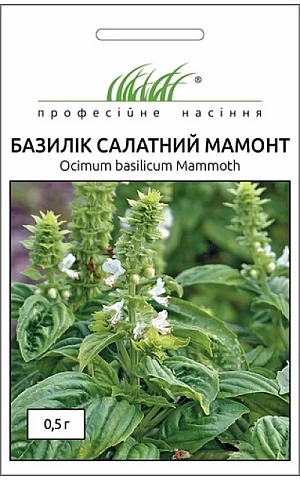 Базилик салатный Мамонт 