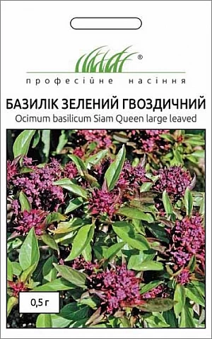 Базилик зеленый Гвоздичный