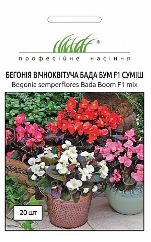 Бегонія Бада Бум F1 смесь 