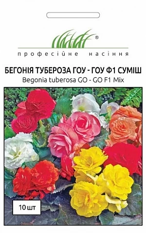 Бегония Гоу Гоу F1 смесь 