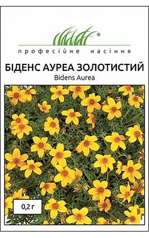Биденс Ауреа золотистый