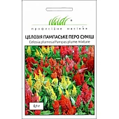 Целозия Пампаское Перо смесь 