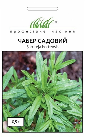 Чабер садовый 