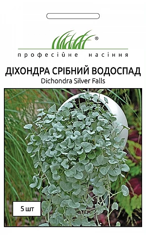 Дихондра Серебряный водопад 