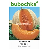 Дыня Кредо F1