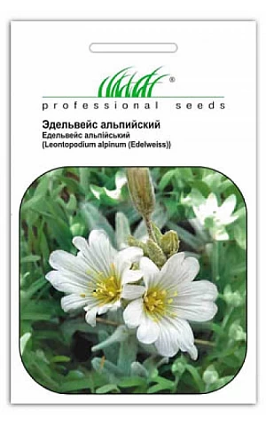 Эдельвейс Альпийский белый 