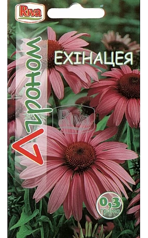 Ехінацея Riva Trade