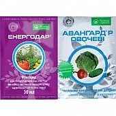 Енергодар + Авангард Овочі
