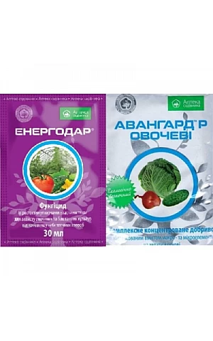 Энергодар + Авангард Овощи