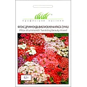 Флокс Виблискуюча краса суміш 