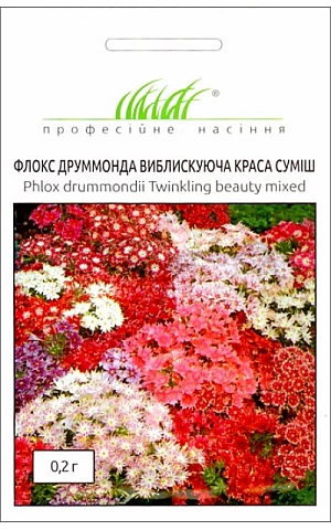 Флокс Блестящая красота смесь 