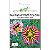 Газаніяя Блискуча суміш