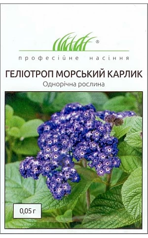 Гелиотроп Морской карлик 
