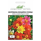 Георгина Миньон смесь 