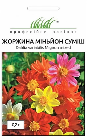 Георгина Миньон смесь 