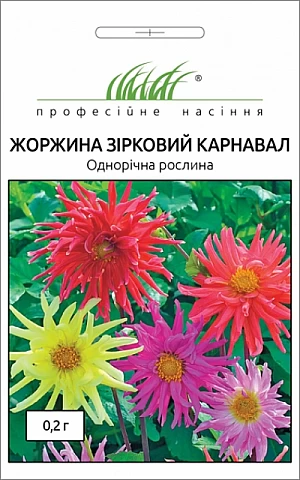 Георгина Звездный карнавал смесь 