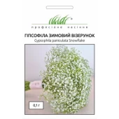 Гипсофила Зимний Узор 