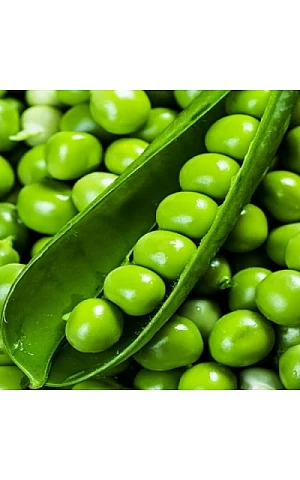 Горох Овощной Олинда  Syngenta