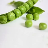 Горох Овощной Сабрина  Syngenta