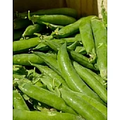 Горох Овощной Сомервуд 