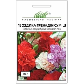 Гвоздика садова Гренадін суміш
