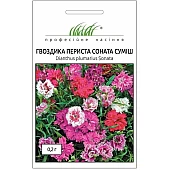Гвоздика Соната смесь 