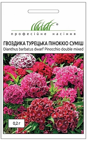 Гвоздика турецька Піноккіо суміш 