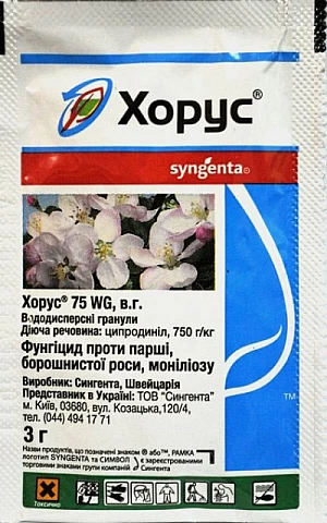 Хорус 75 в.г.