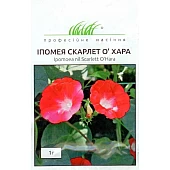 Ипомея Скарлет ОХара 