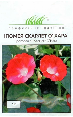 Ипомея Скарлет ОХара 