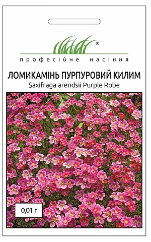 Камнеломка Пурпурный ковер 