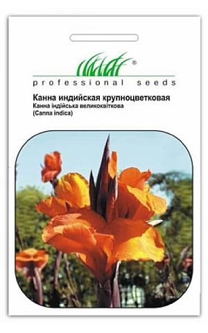 Канна Индийская 