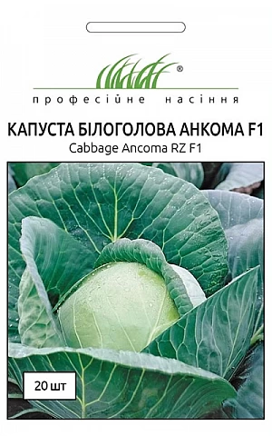 Капуста Белокочанная Анкома F1 (Ancoma F1) 