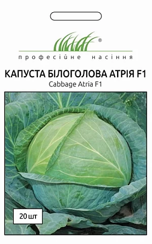 Капуста Белокочанная Атрия F1 (Atria F1) 