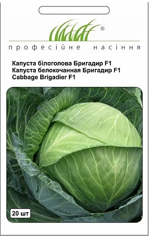 Капуста Белокочанная Бригадир F1 (Brigadier F1)