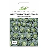 Капуста Білокачанна Етма F1  (Jetma F1) 