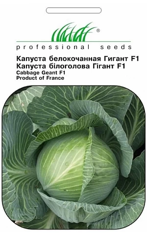 Капуста Білокачанна Гігант F1 