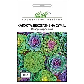 Капуста декоративная смесь 