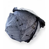 Капуста Краснокочанная Родима (Rodima RZ) F1 