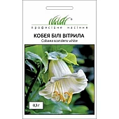 Кобея Белые паруса 