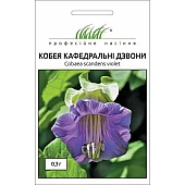 Кобея Кафедральные колокола 