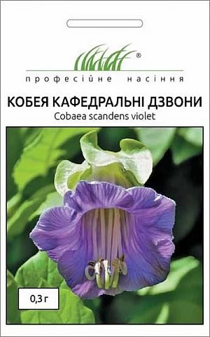 Кобея Кафедральные колокола 
