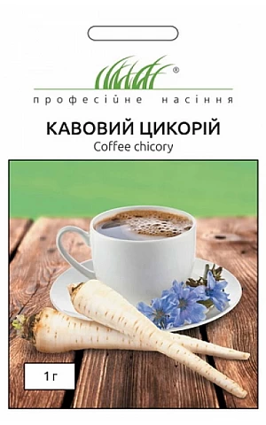 Кофейный цикорий 
