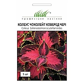 Колеус  Блюма Чоколейт Коверед Черрі 
