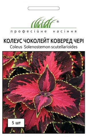Колеус  Блюма Чоколейт Коверед Черри 