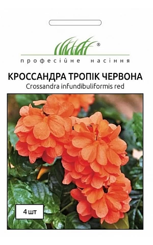 Кроссандра Тропик красная 